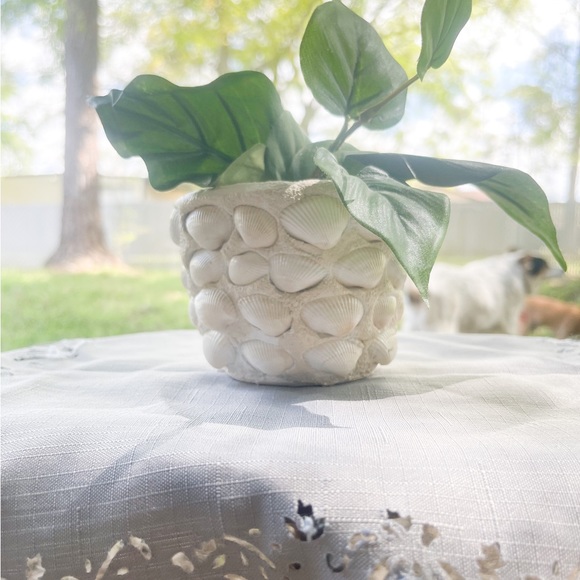 Small Seashell Flower Pot - Picture 8 of 9